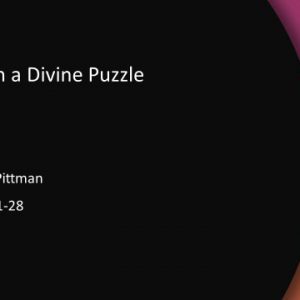 A Piece in a Divine Puzzle
