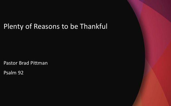 Plenty of Reasons to be Thankful